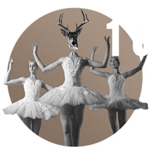 A Vivência: it's show time